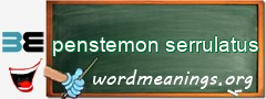 WordMeaning blackboard for penstemon serrulatus